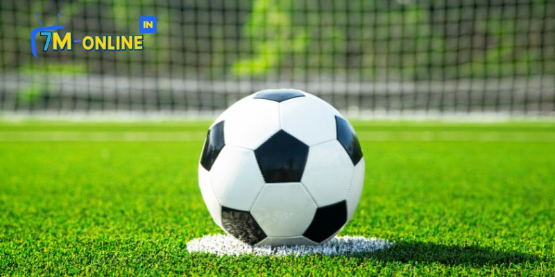 Penalty là gì - Tìm hiểu sâu về khái niệm và tác động