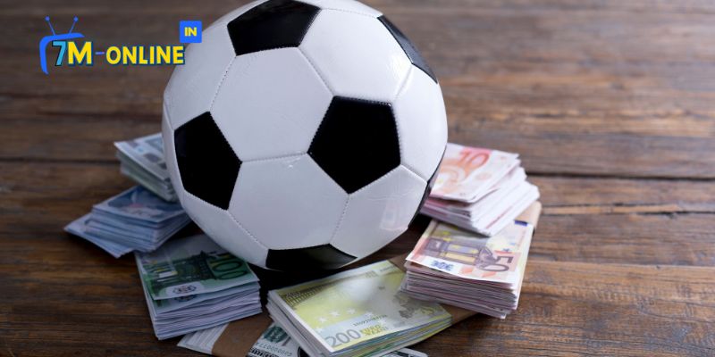 Câu Hỏi Thường Gặp Về Soccer Pingoal