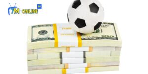 Saba Soccer Pingoal - Trải Nghiệm Thể Thao Bóng Đá Đích Thực