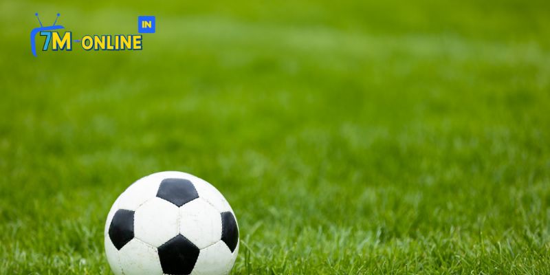 Khám Phá Soccer Pingoal Max - Trải Nghiệm Thú Vị Trong Thế Giới Bóng Đá